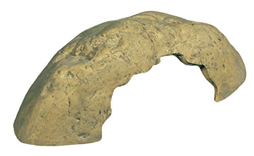 Exoterra Caverne Reptile Petit Modèle Pour Reptiles Et Amphibiens 18x10x6 Cm