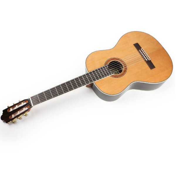 Unistar Violin Beginner