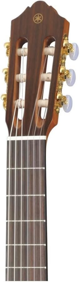 Unistar Acoustic Guitar Beginner