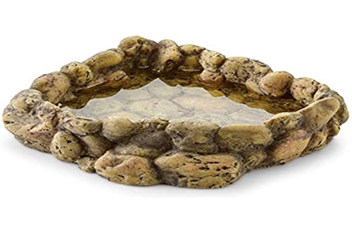 Exo Terra Corner Water Dish Bol À Eau D'angle Pour Reptiles Grand Modèle