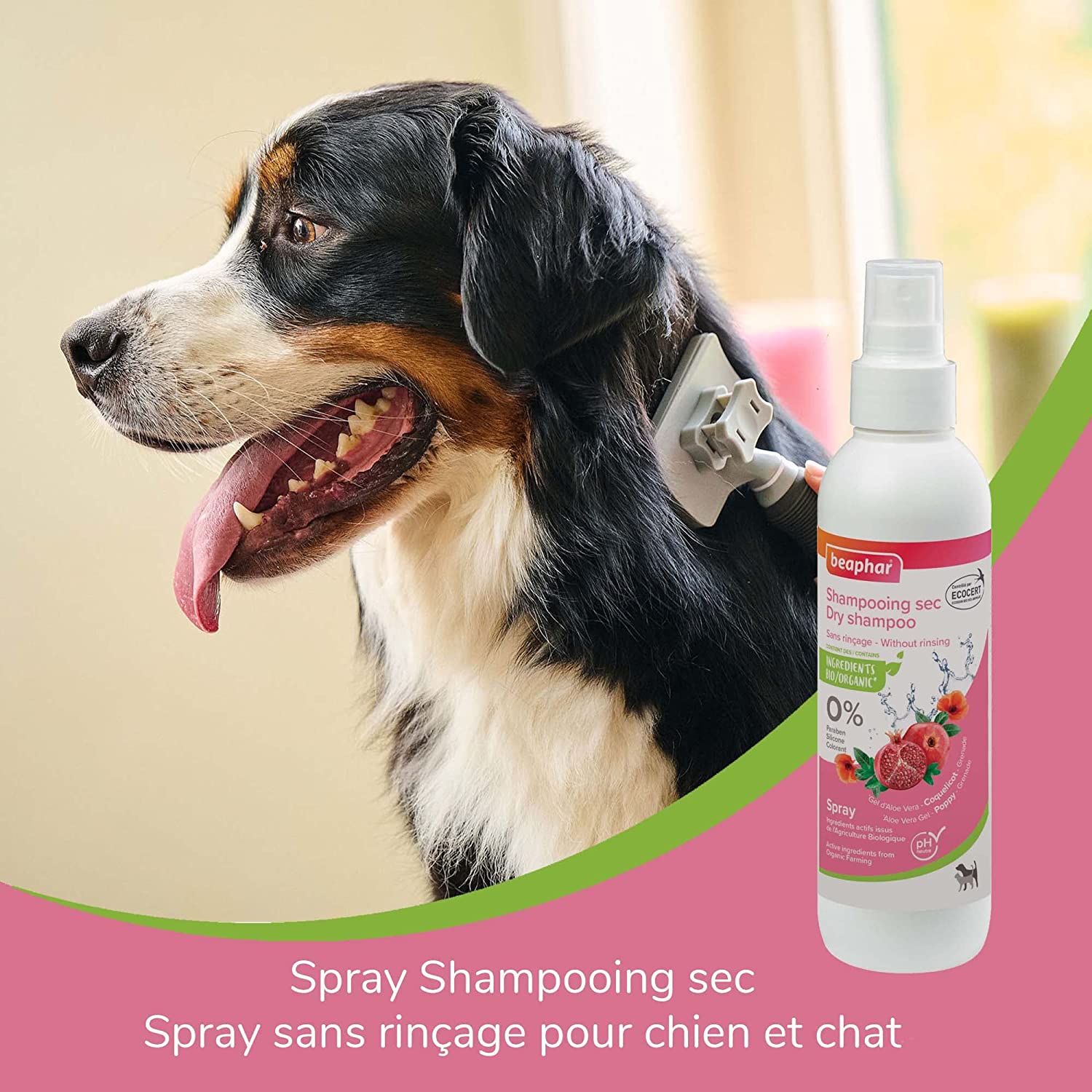 Beaphar Spray Shampoing Sec Ecocert Chien Et Chat 200ml