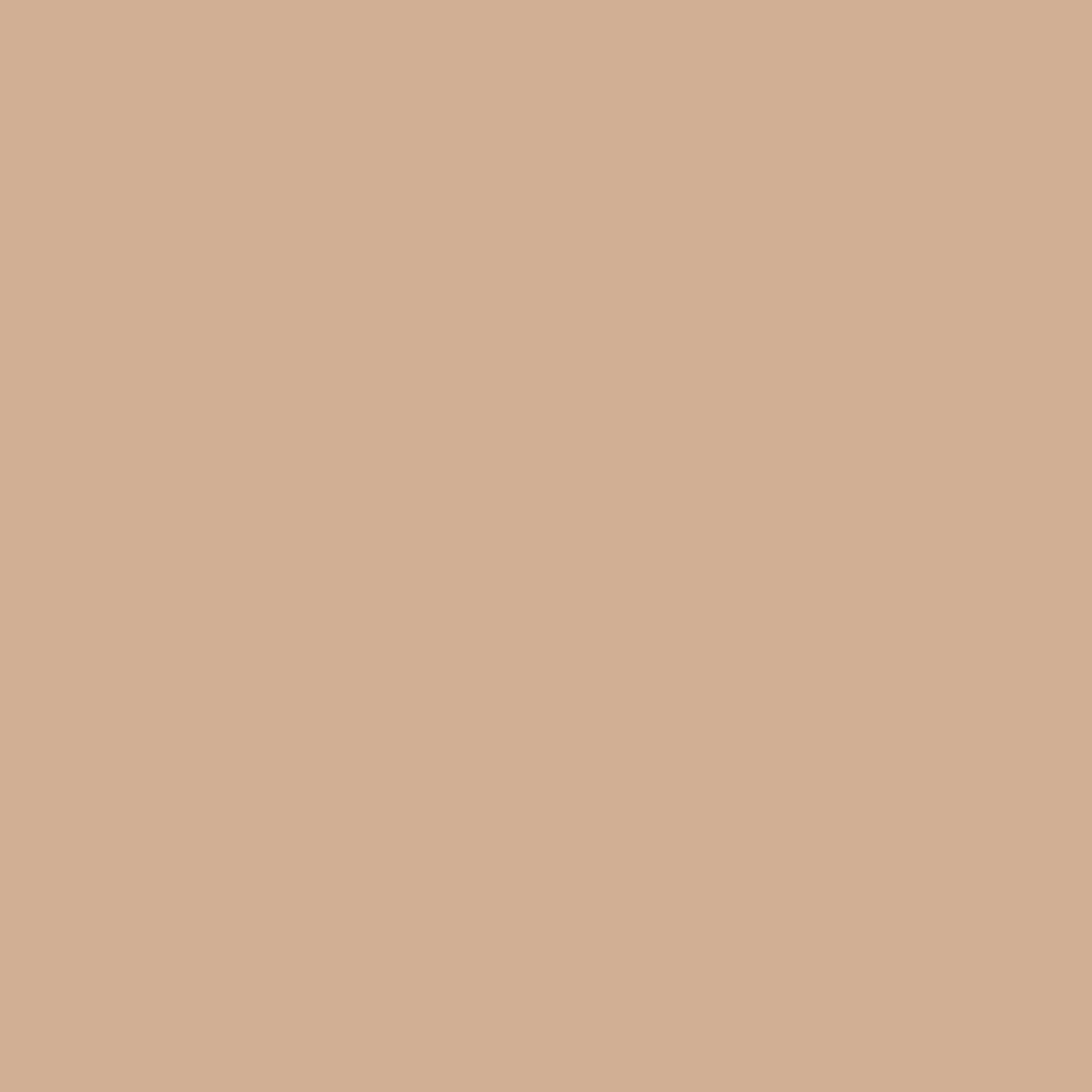 M.A.C Mineralize Skinfinish Natural 2