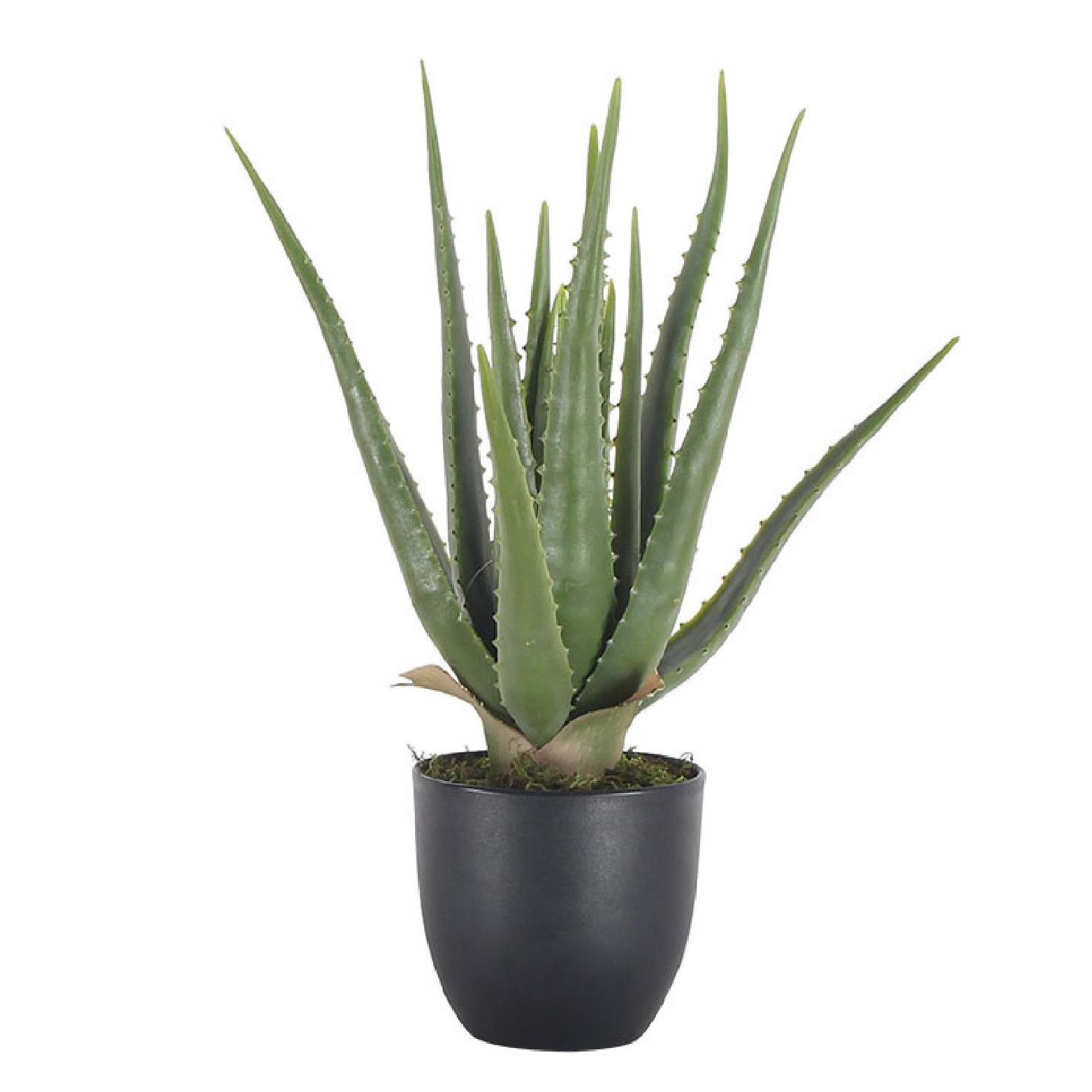 Artificial Indoor Aloe Vera Plant 70cm
