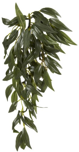 Exoterra Décoration Abutilon Plante Petit Modèle Pour Reptiles Et Amphibiens
