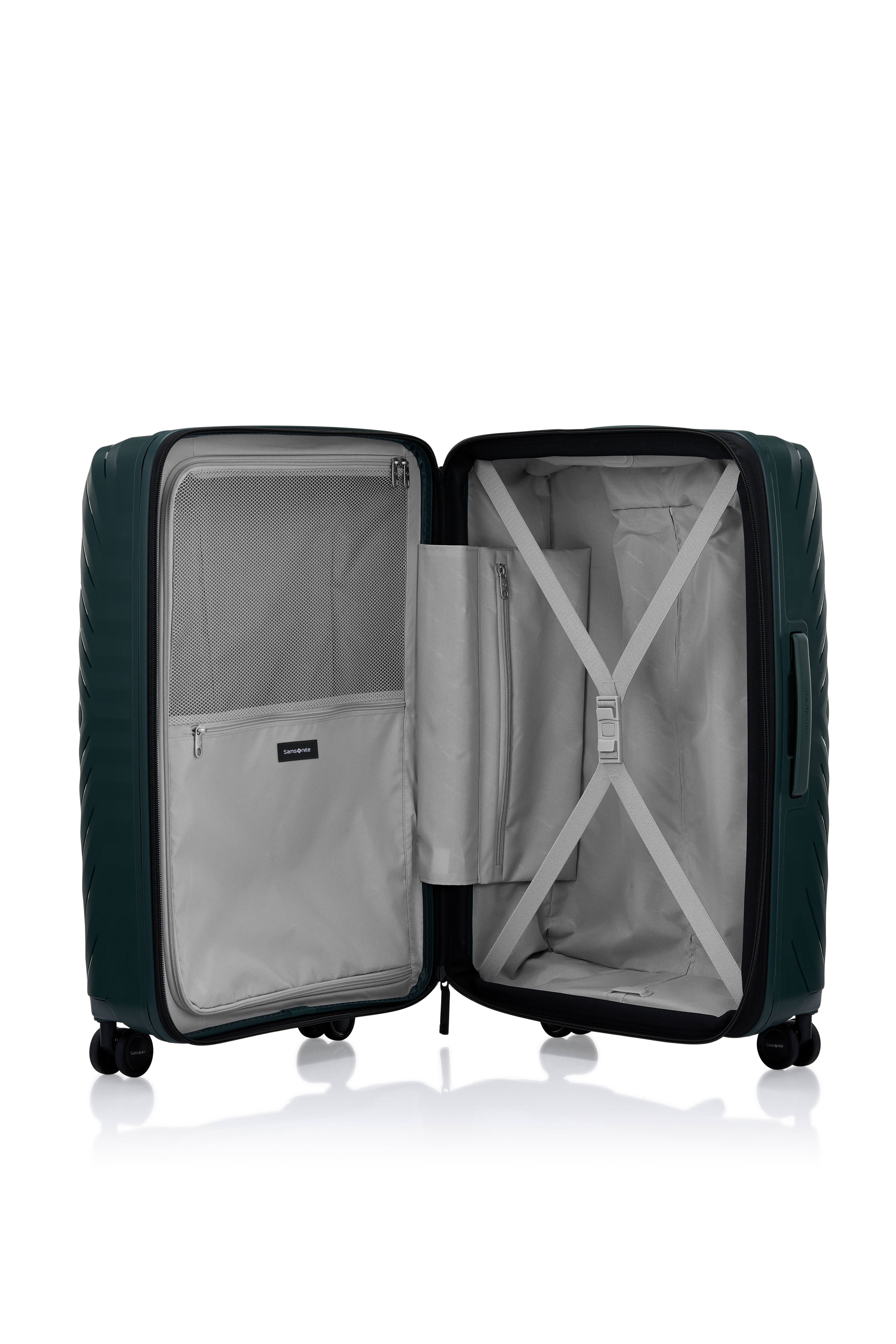 Samsonite Check-in Luggage