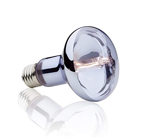 Exoterra Lampe Halogen Basking Spot 100w Pour Reptiles