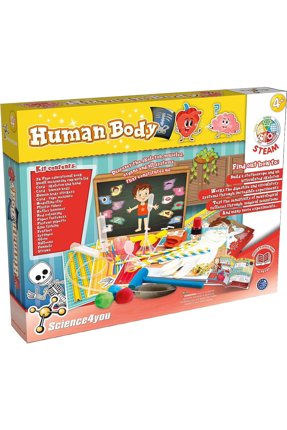 Create & Play Unisex Science4you Science Learning Activity Set