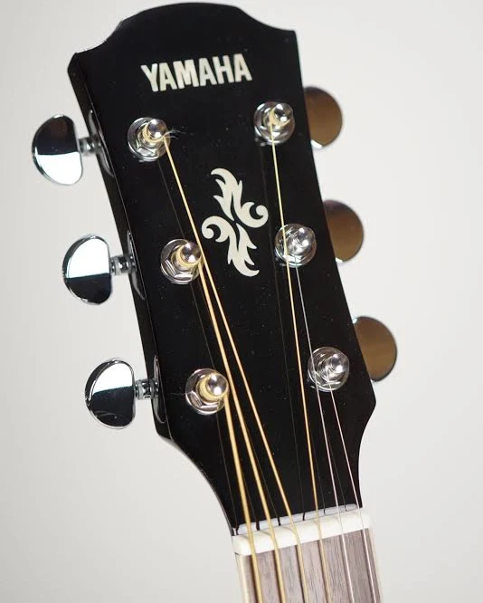 Yamaha Acoustic Electric Guitar Beginner