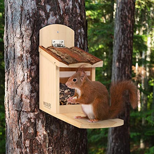 Wildlife Friend I Mangeoire Écureuil Exterieur En Bois Avec Toit En Écorce - Distrubuteur De Nourriture Écureuils - Mais