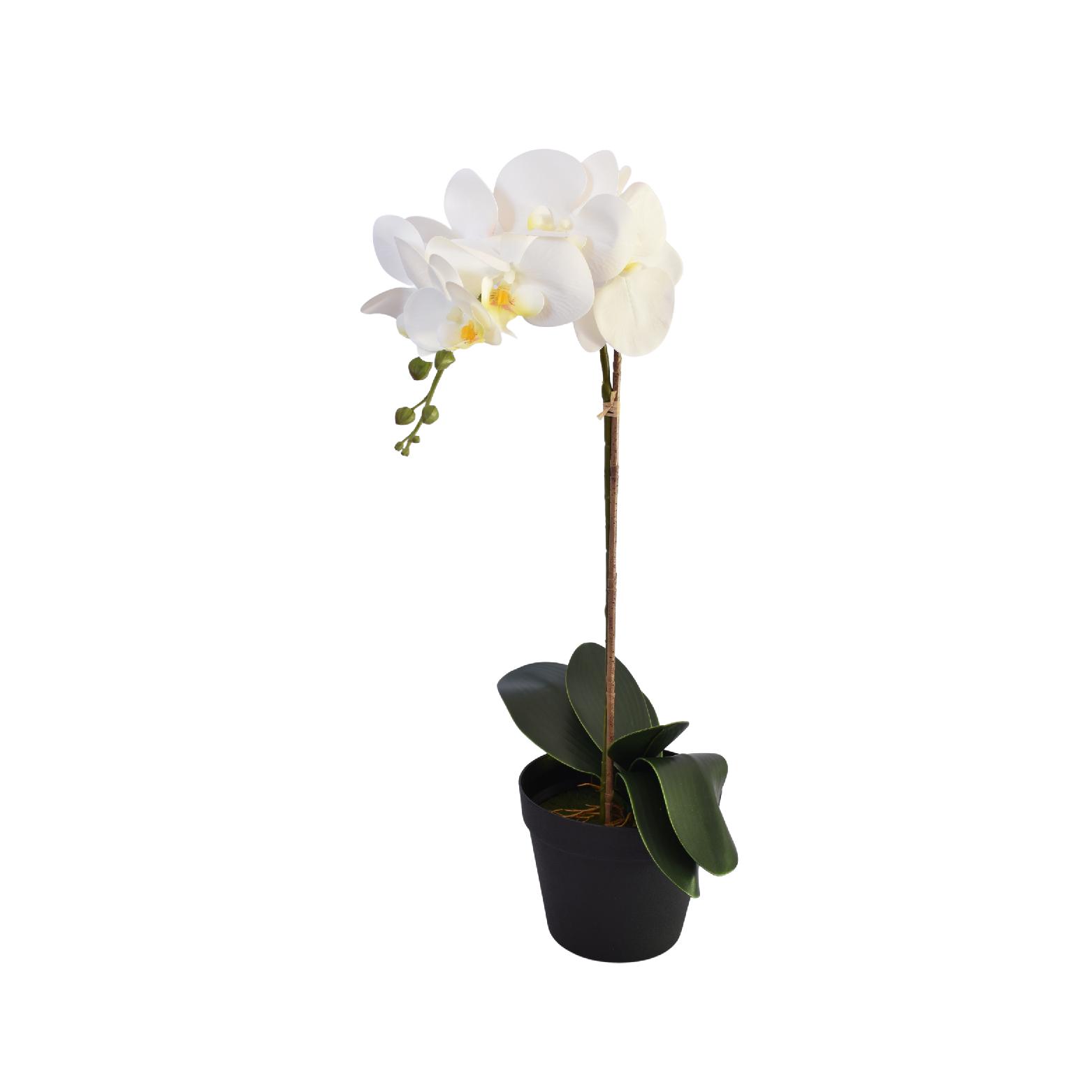 Artificial White Orchid in Pot