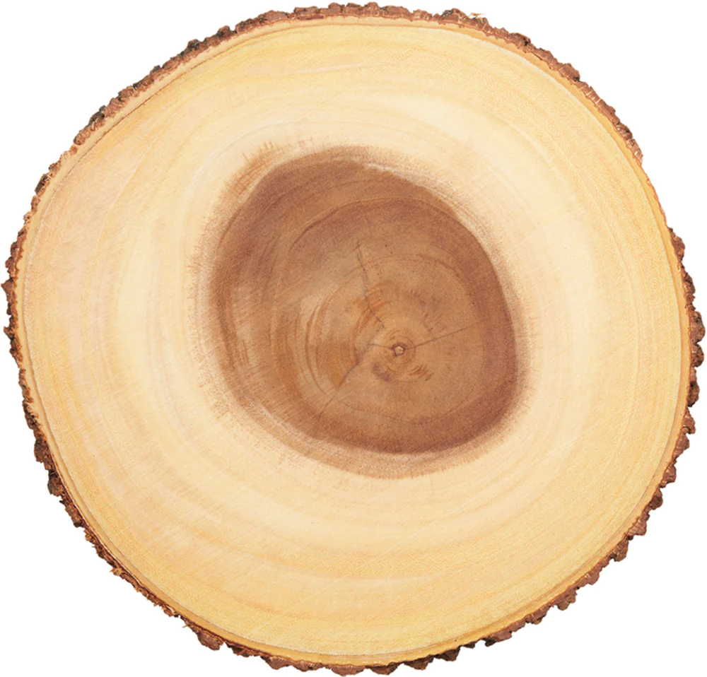 Artesa - Plateau À Fromage En Bois Naturel, Tronc D'arbre Et Bords En Écorces, 30 Cm