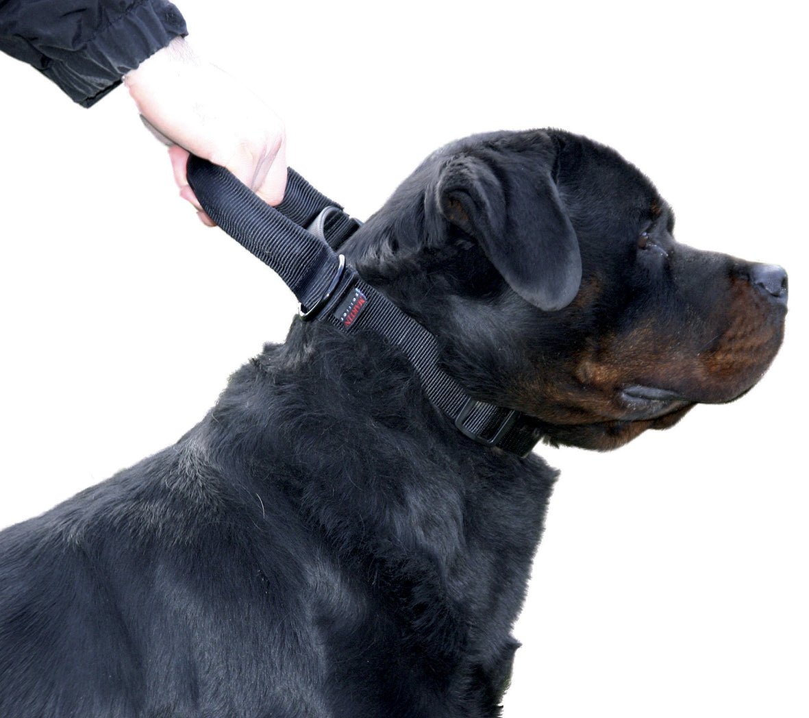 Collier D'intervention Pour Chiens