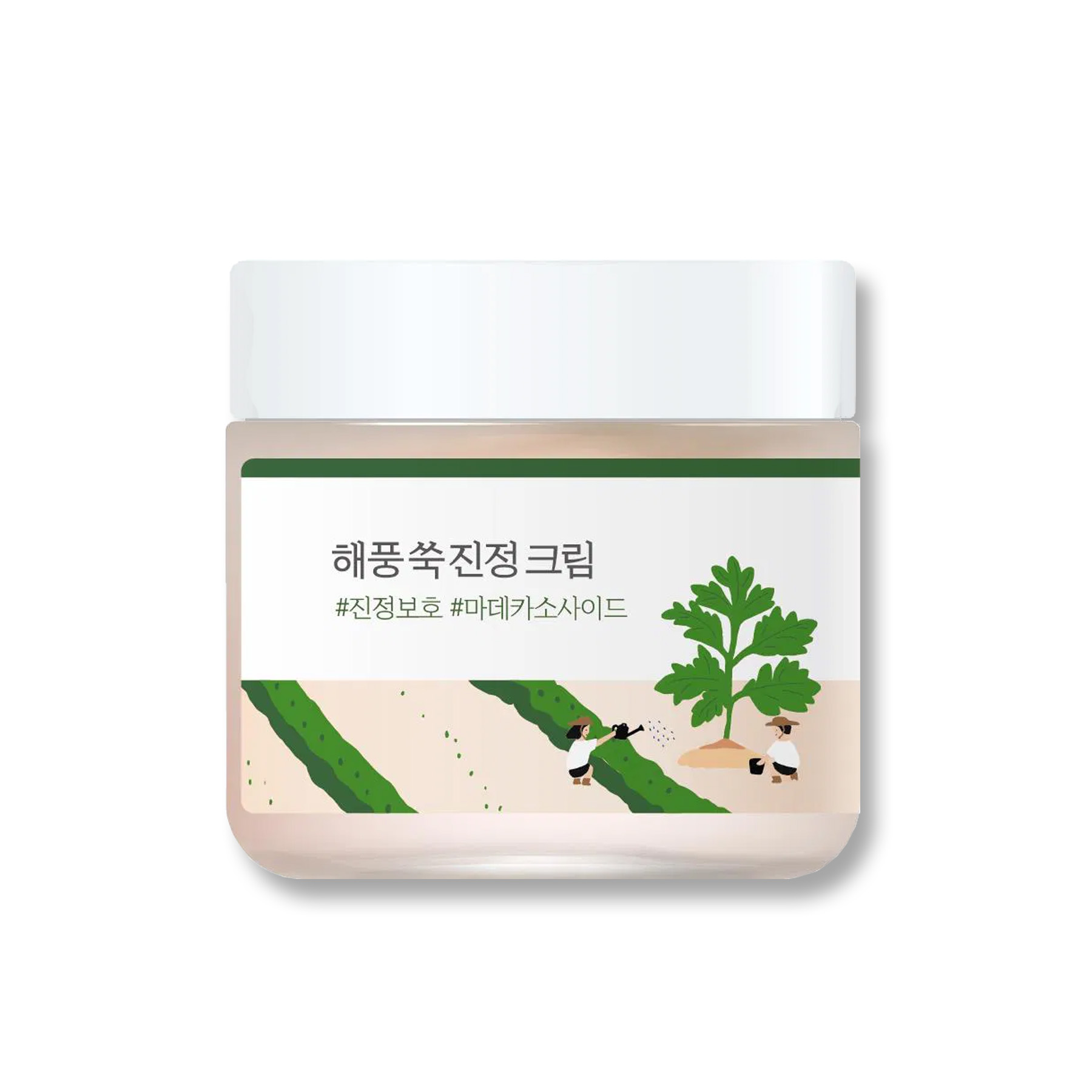 ROUND LAB Mugwort Calming Cream – palina z ostrova geomundo
