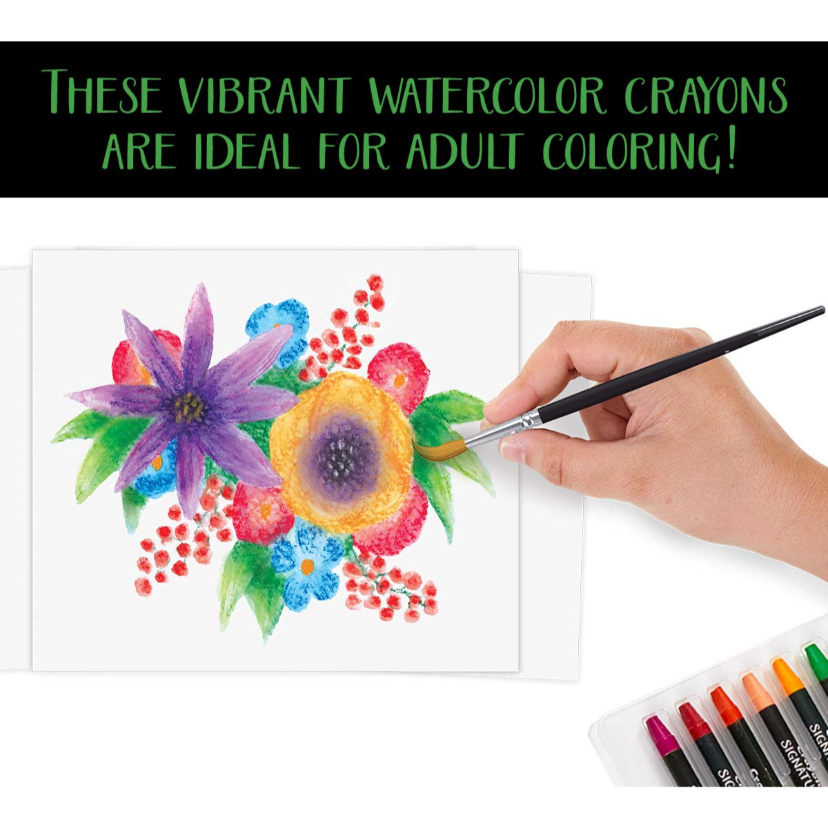 Crayola Water Soluble