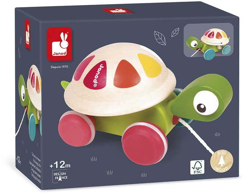 Tortue À Promener Zigolos