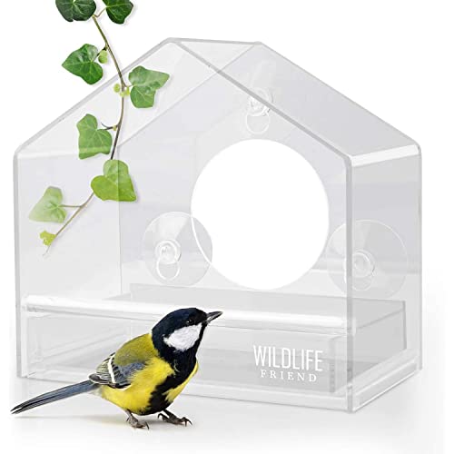 Wildlife Friend I Mangeoire Oiseaux De Fenêtre Convient Aux Graines Pour Oiseaux Sauvages - Nichoir Oiseaux Exterieur Ex