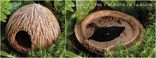 Exo Terra Coconut Cave Tana Refuge Pour Reptiles Terrarium