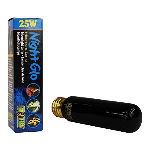 Exoterra Ampoule Night Heat Pour Reptiles Et Amphibiens 25 W