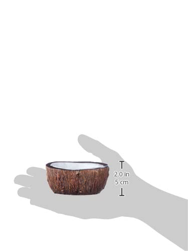 Exoterra Bol À Eau En Forme De Noix De Coco Pour Reptiles