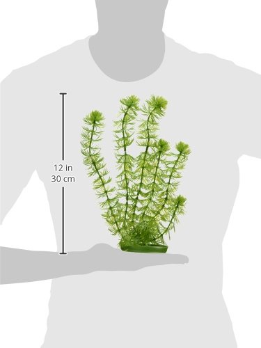 Marina Décoration Pour Aquarium Hornwort 30 Cm