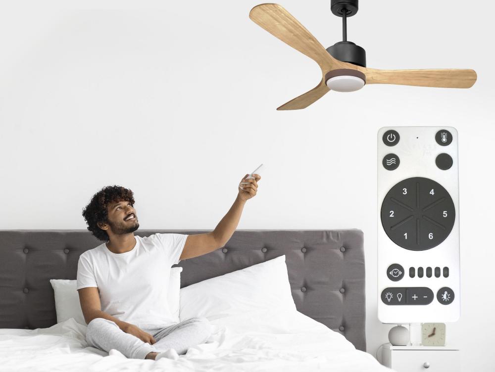 Ventilateur De Plafond