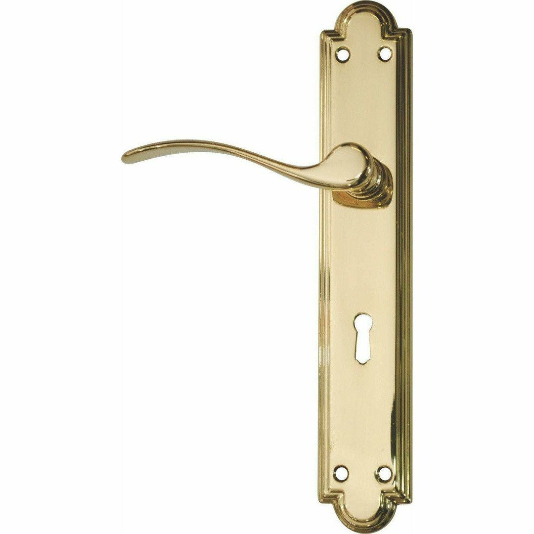Classic Lever Handle on Back Plate