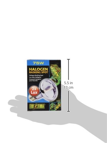 Exoterra Lampe Halogen Basking Spot 100w Pour Reptiles