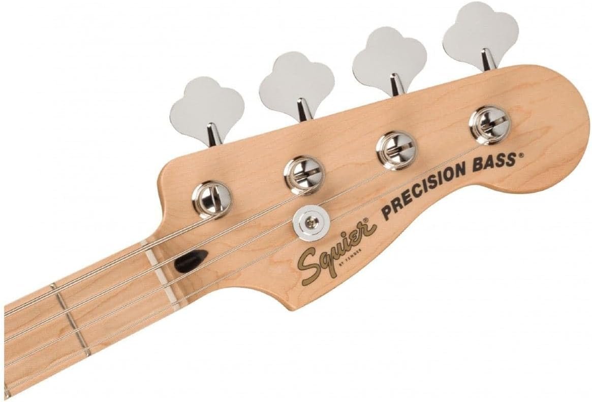 Fender Bass Guitar Beginner