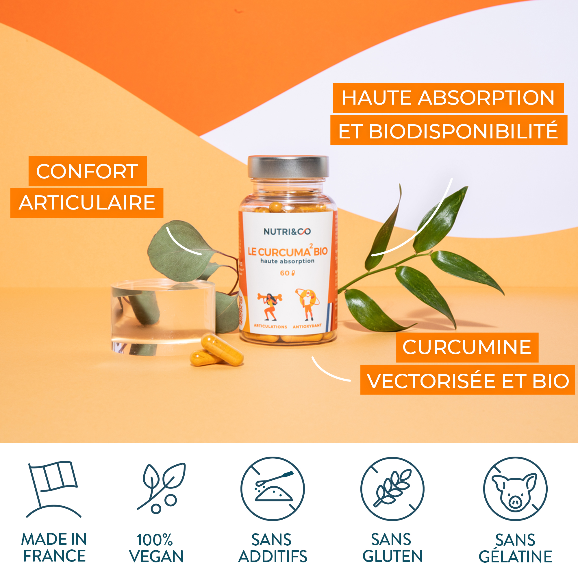 Curcuma Bio Breveté En Gélules Curcumine Glucosamine Articulations — free download