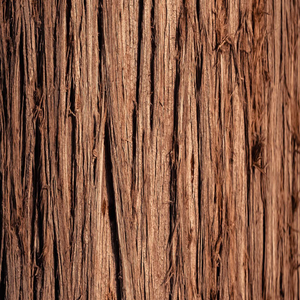 Bare Tree Wallpaper - Generic Pattern 8 - Large