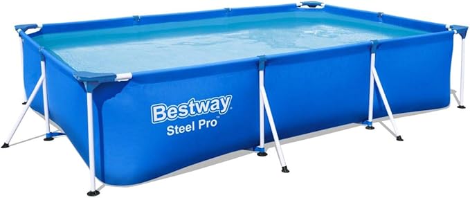 Bestway Framed Pool 4 Years And Above,4 Person,Blue 66 Cmx201 Cmx300 Cm