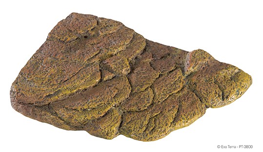 Exo Terra Talus Flottant Petit