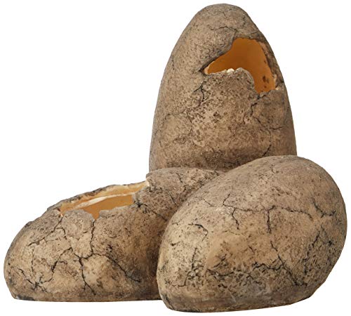 Exoterra Cachette Pour Reptiles Oeufs De Dinosaure Exo T