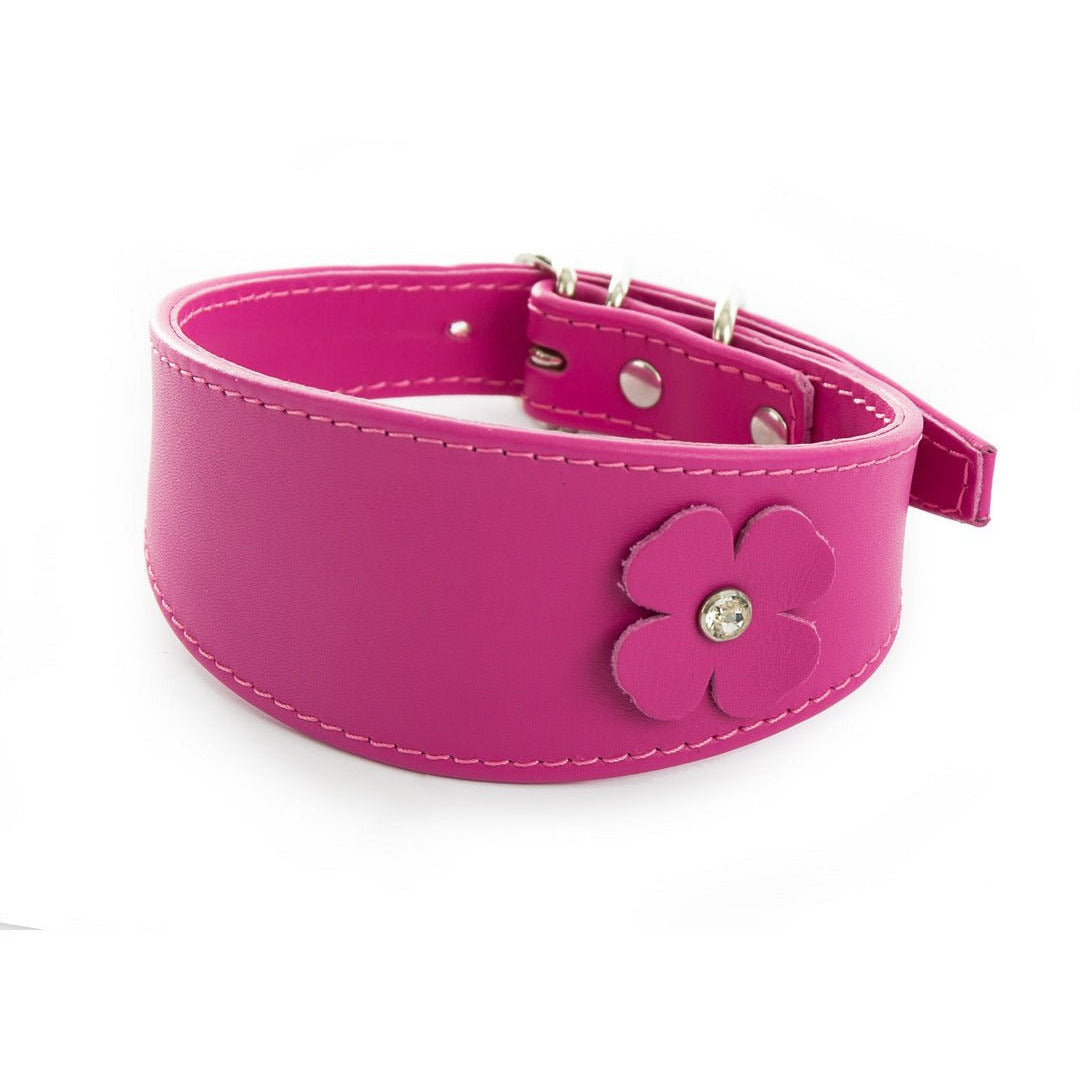 Collier Pour Chiens  En Cuir Avec Strass Swarovski Pour Whippets Et Lévriers