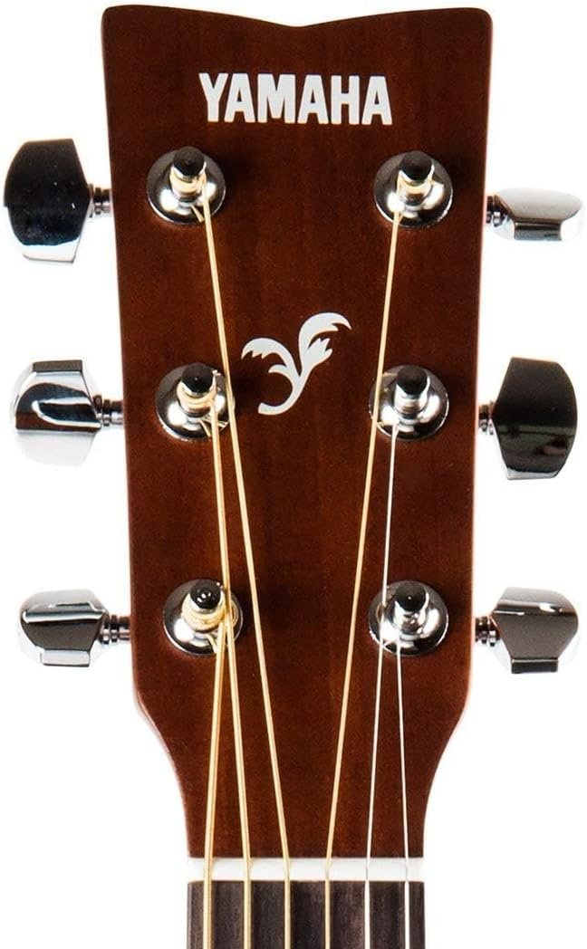 Yamaha Acoustic Guitar Beginner
