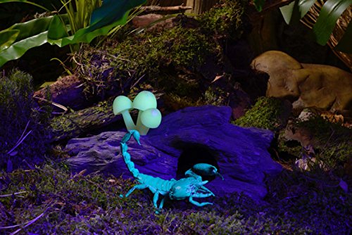 Exoterra Éclairage Nocturne De Faible Énergie Pour Reptile/amphibien