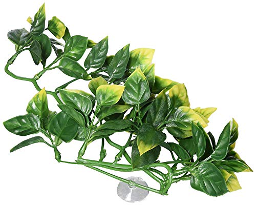 Exo Terra Exoterra Plante De Décoration Amapallo En Plastique Pour Reptile/amphibien