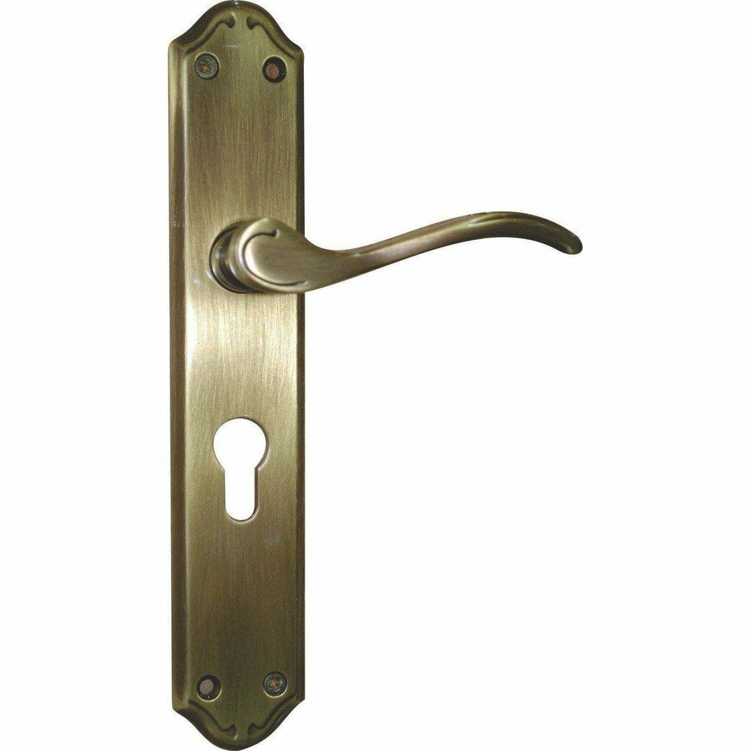 Classic lever handle on plate