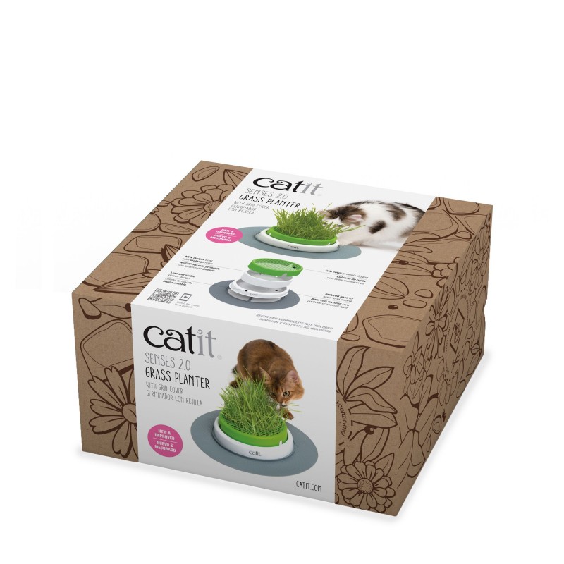 Herbe A Chat Carrefour