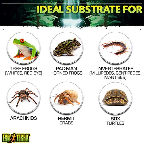 Exoterra Substrat Brique Fibre De Coco Pour Reptiles Et Amphibiens