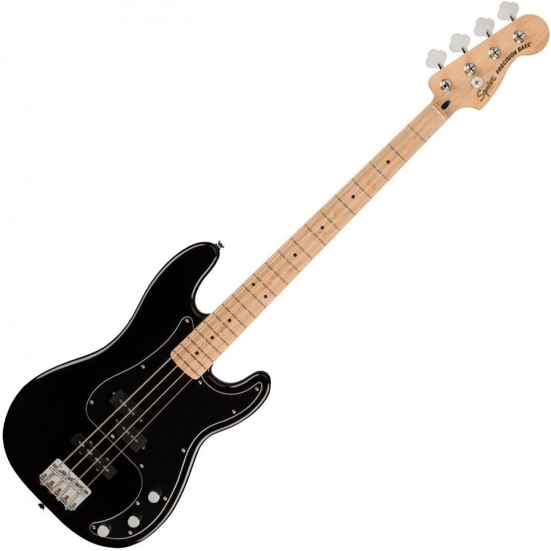 Fender Bass Guitar Beginner