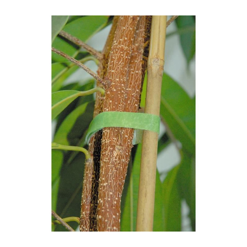 Wolfcraft 1 Bande Auto Agripante Verte Pour Jardin 5 M