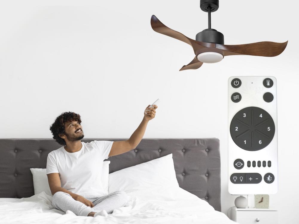 Ventilateur De Plafond