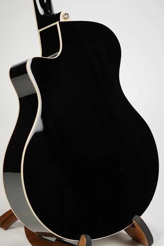 Yamaha Acoustic Electric Guitar Beginner