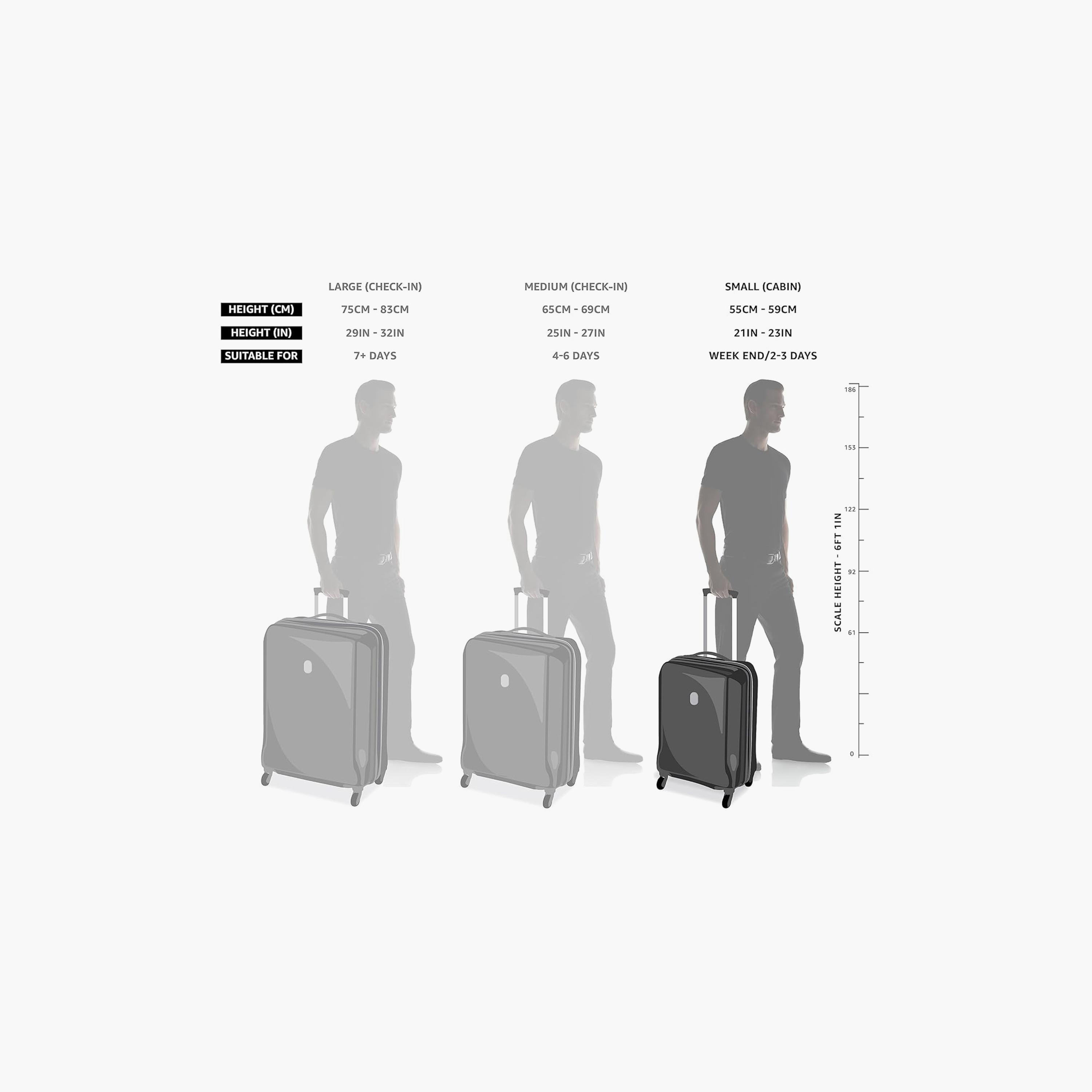 Lipault Cabin Luggage