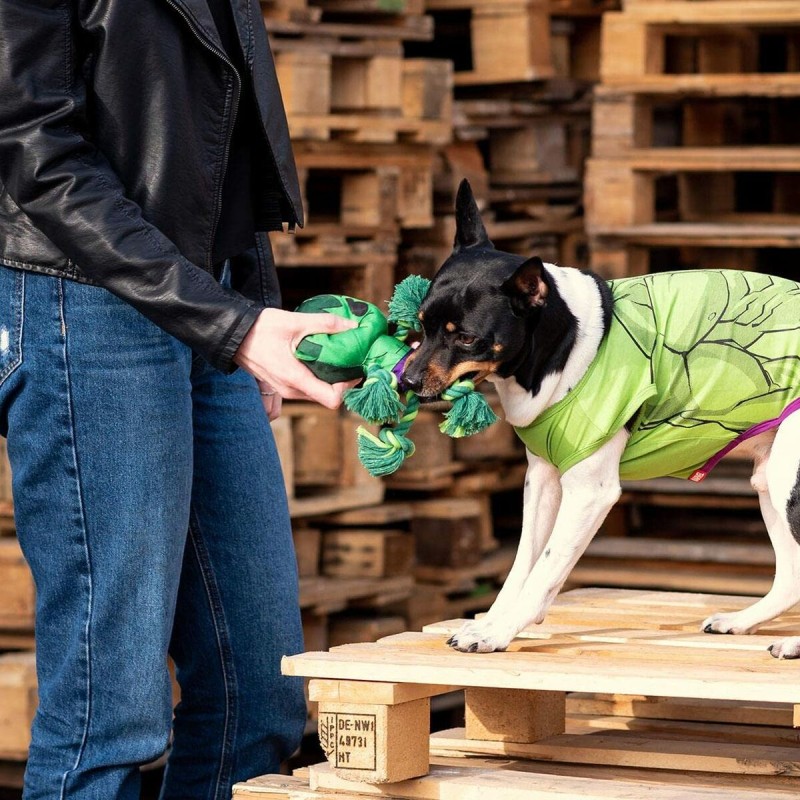 Jouet Pour Chien The Avengers  Vert 100 % Polyester