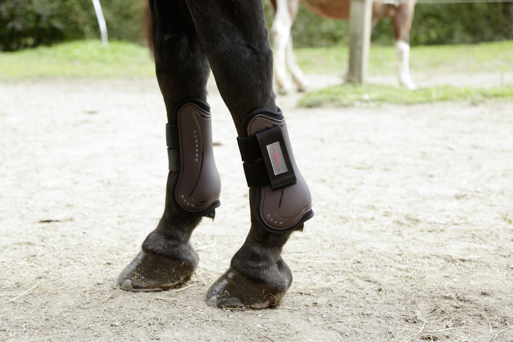 Guêtres Pour Cheval Cob Tecair Avant Noir Covalliero