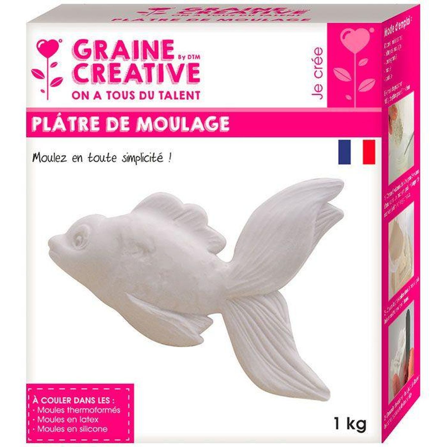 Plâtre De Moulage 2 Kg