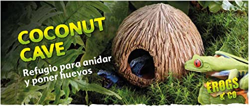 Exo Terra Coconut Cave Tana Refuge Pour Reptiles Terrarium