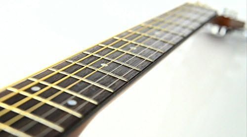 Yamaha Acoustic Guitar Beginner